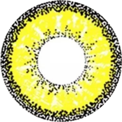 lens_17d58b28-4c27-4551-8283-f690156586f8