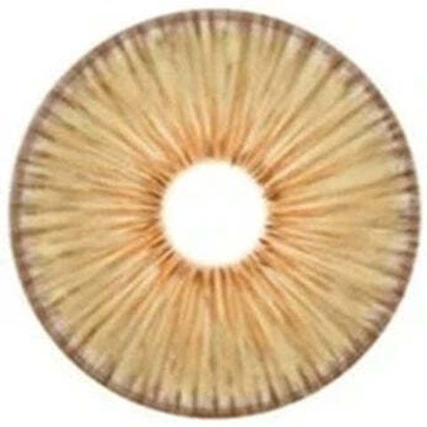 brown_e3a3b81e-928f-4656-abbc-92770a2bf26e