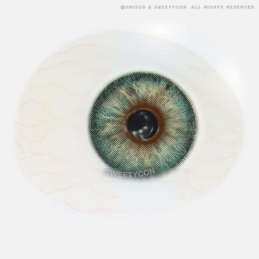 6_453f3a4a-3bab-4a3f-aa56-7ef6eceed8ac