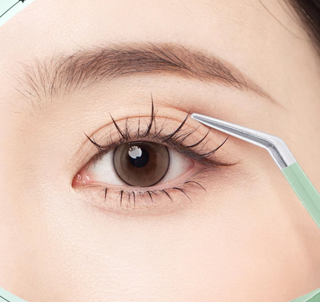 image_37D4F191-3F48-40CA-81A0-6DB40D9E296F_1766118423