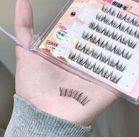 image_08E5CBAC-A9F7-464E-8323-3957A9459ACC_1766119149