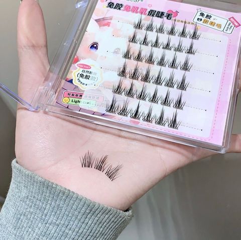 image_E118FD69-7F56-403A-9247-E18E179B2E65_1766119243