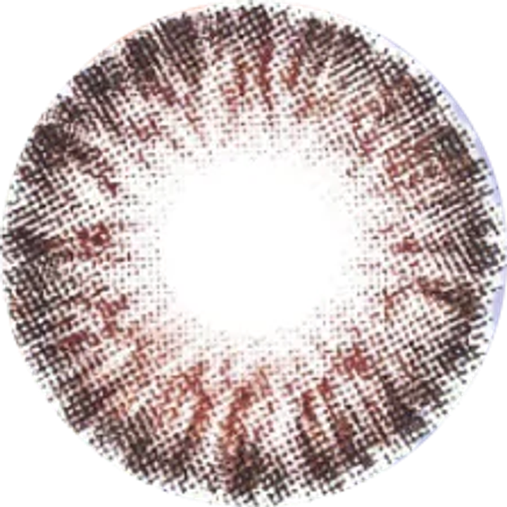 B-TORIC-BROWN_1024x1024