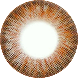 BLINCON-BEAUTY-STAR-BROWN
