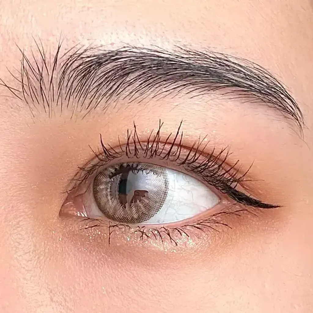 image_820724D9-9428-4D0C-B051-61EEA0D278E2_1766853814