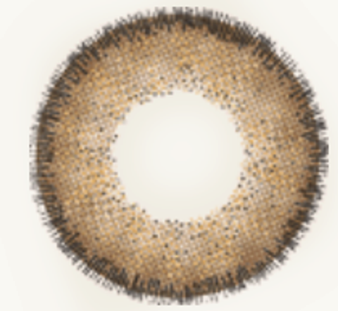 Screenshot 2025-12-28 194547