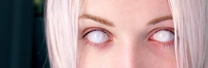 description_image_blind-white-1