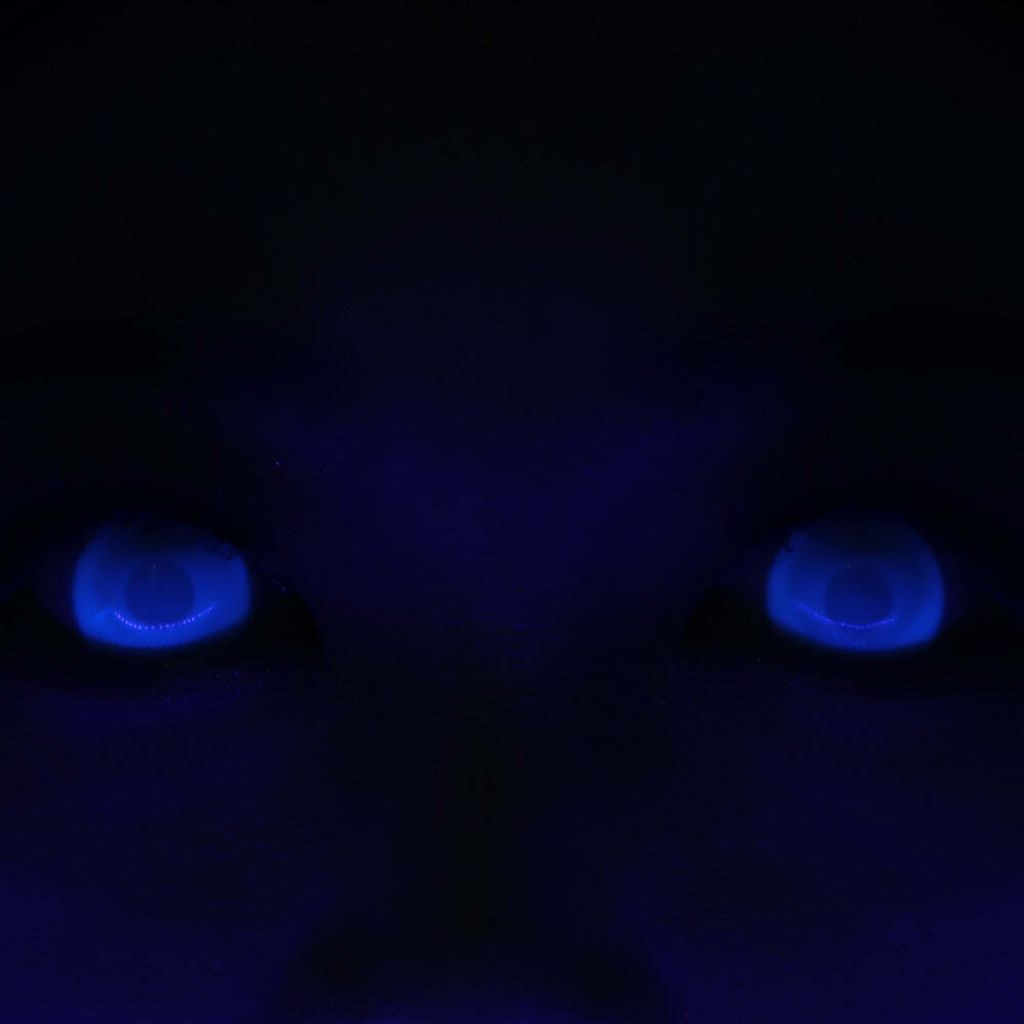 Artboard1copy-80_1010866d-8aa5-49b2-98dc-f5c436462250