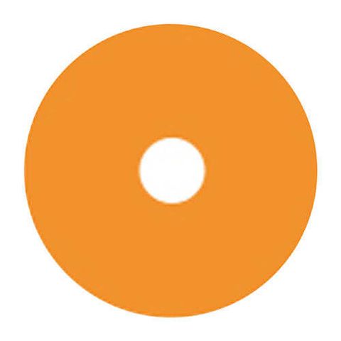 B2224_16da9498-730b-4f7b-b9fc-396c4bb73295