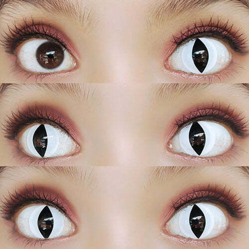 F01-grid_7e337162-34a2-4dc0-bd80-d28fc861ac7e