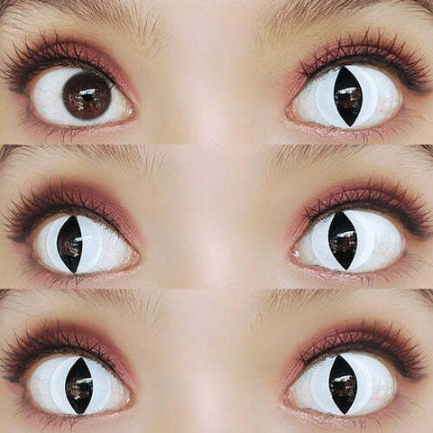 F01-grid_7e337162-34a2-4dc0-bd80-d28fc861ac7e