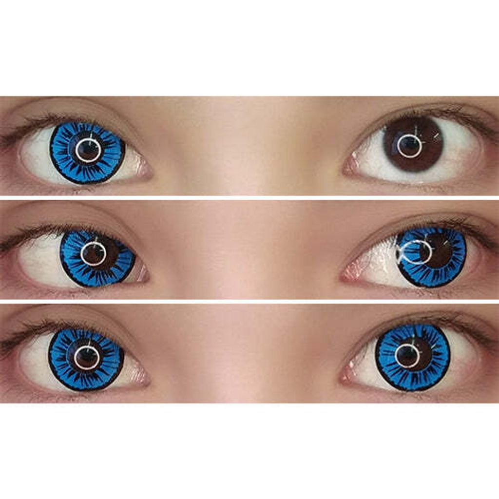 petal_blue_67bf780b-f64e-42a2-9e1e-3191ad8eefef