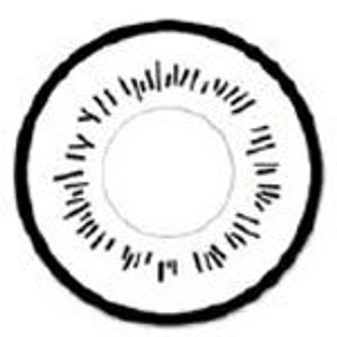 sweety-ry113_faa76ae5-ad81-4e96-bdf9-dc60f3b1f842