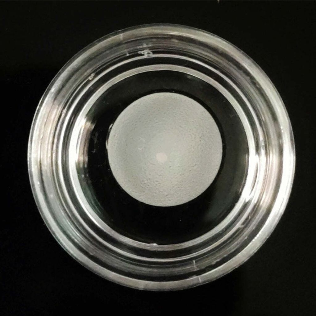 Kingdom-F501-lens_55fa6934-f20b-410a-aa24-2bc1ab047efc