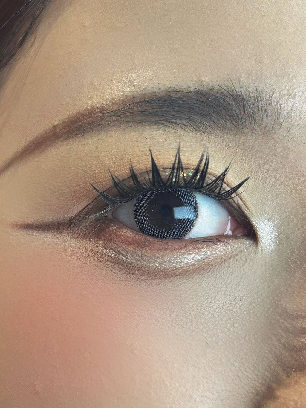 image_56F6BE2E-7FD1-4F66-A7AB-FE929A5E20D3_1769898457