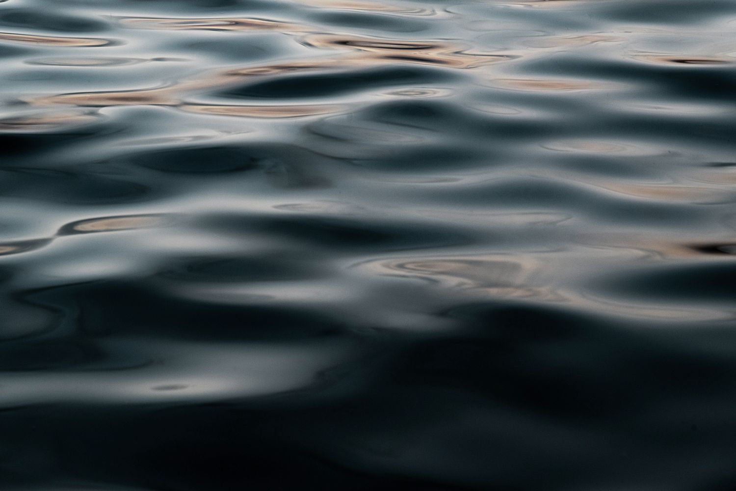 https://cdn.store-assets.com/s/1416592/f/15888893.jpg