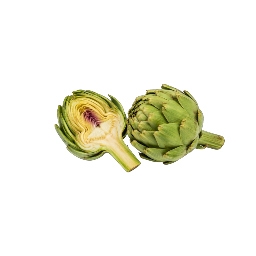 朝鮮薊 (1)