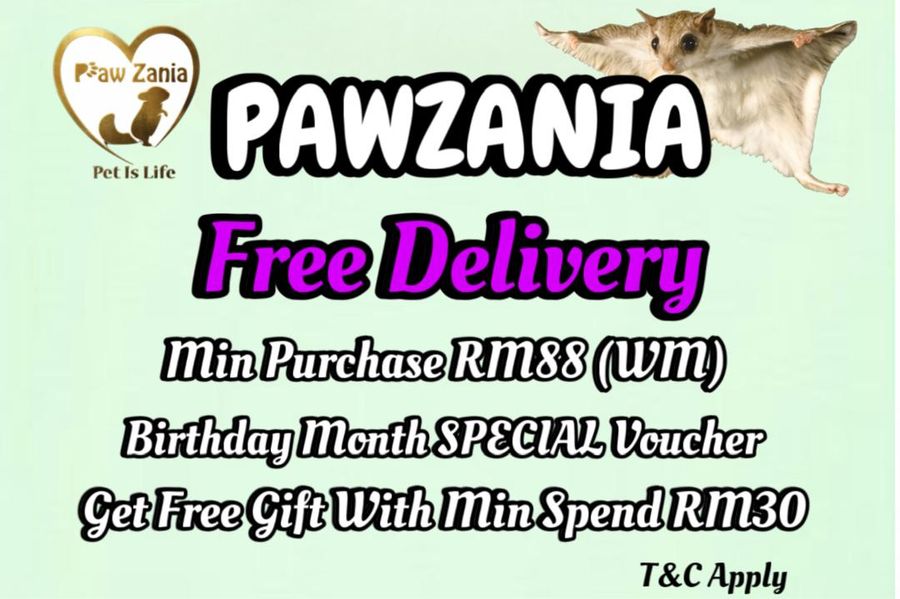 PAWZANIA | 