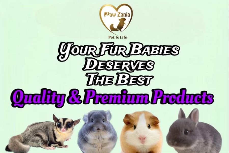 PAWZANIA | 