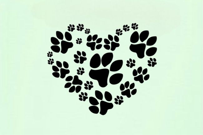 PAWZANIA | Shop By Category - Accessories