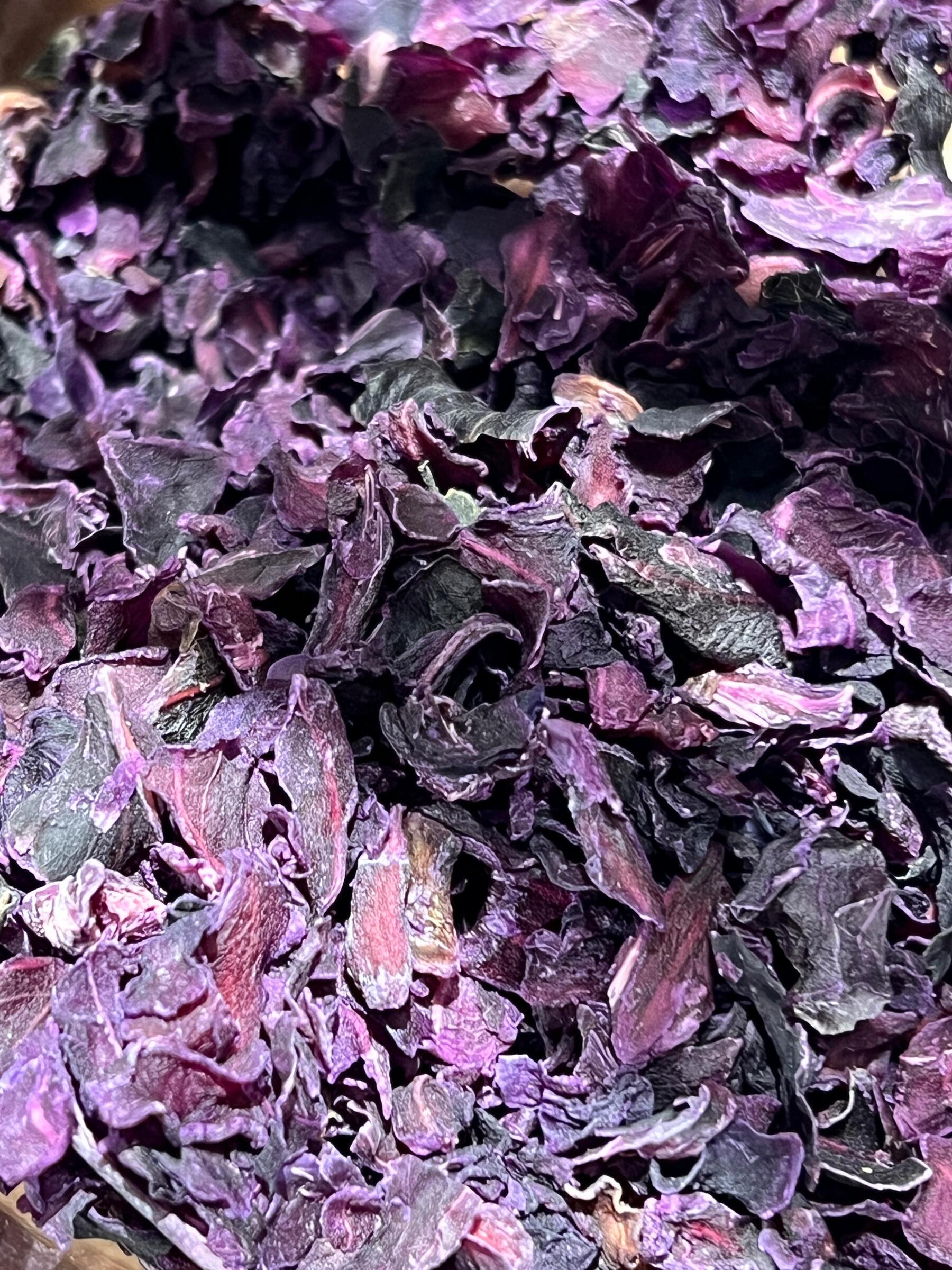 WhatsApp Image 2025-12-18 at 14.51.08 (1)