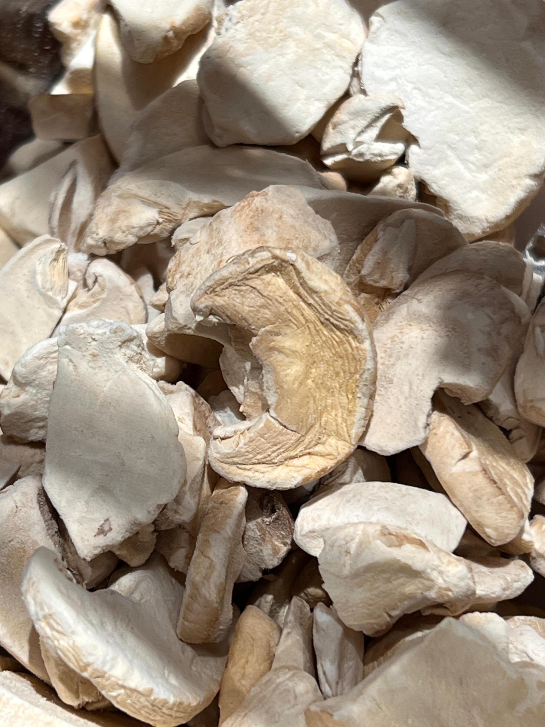 WhatsApp Image 2025-12-18 at 14.51.08 (4)