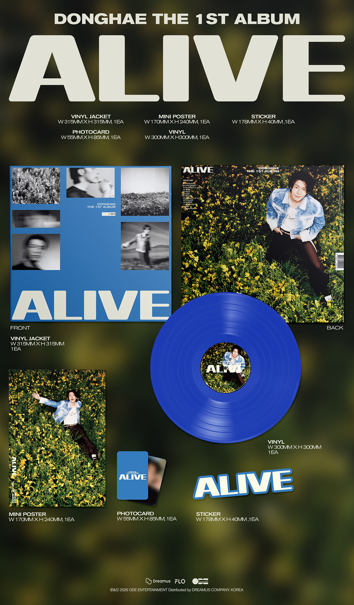 2610-DONGHAE_LP