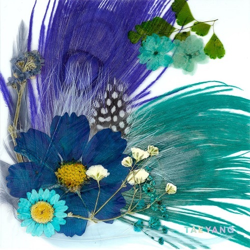 product.14435.150270179311653