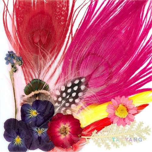 product.14434.150270166359624