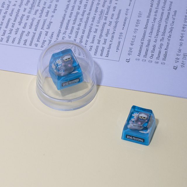 image_A91EB196-84B6-4261-BB1D-6A9EFDE41859_1765791345