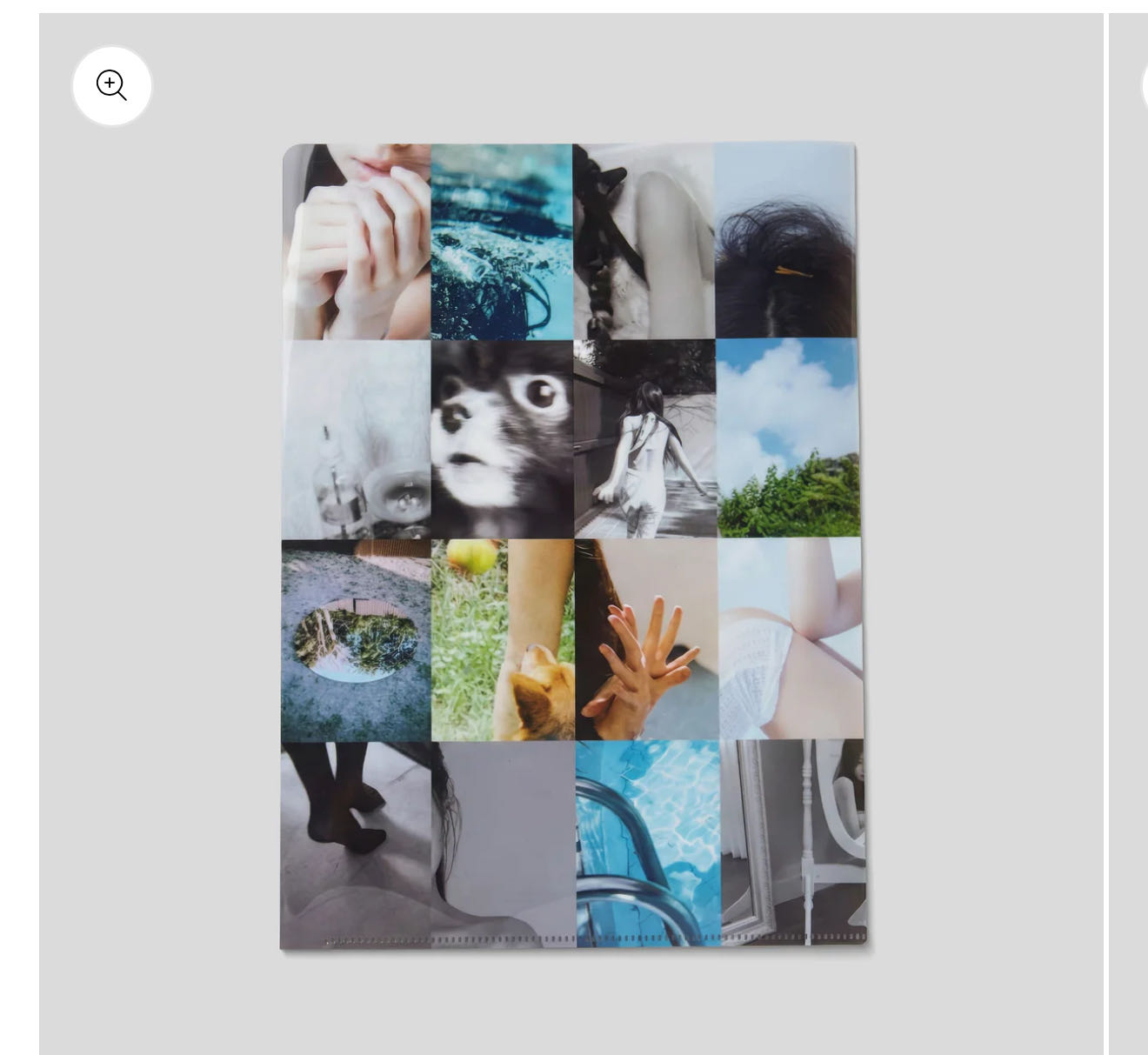 image_A6F8BA1A-F0C6-4FB3-A468-3286A7726EE4_1768547095