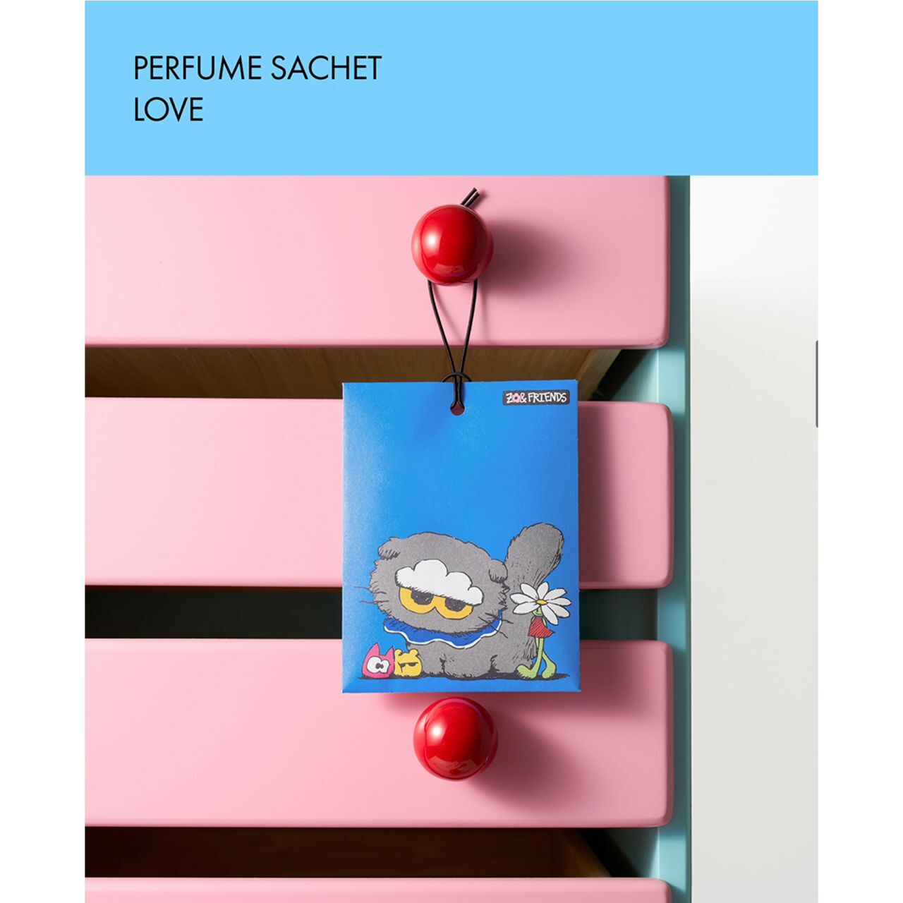 WhatsApp Image 2026-03-01 at 10.57.47 AM (1)