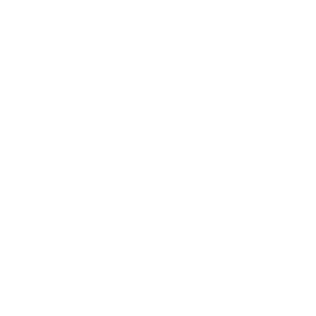 RISE Racing Official 賽車精選店｜F1周邊 & 賽車卡丁裝備 & 模型