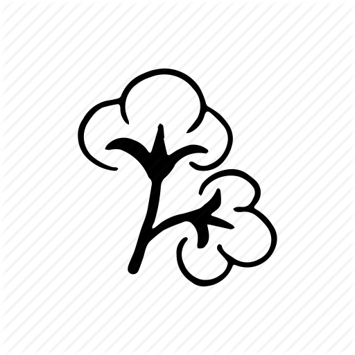 100% Cotton | mèloné studio