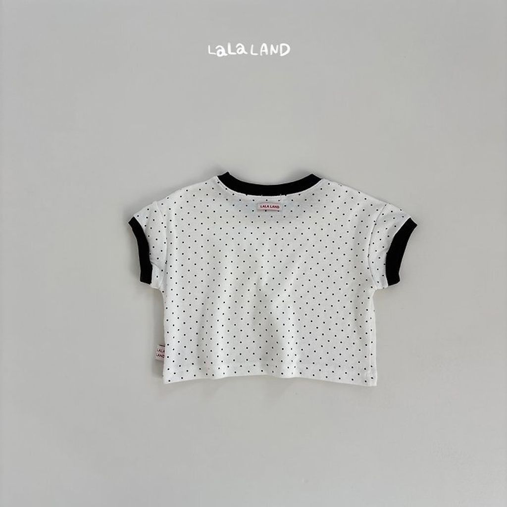 img_l (3)
