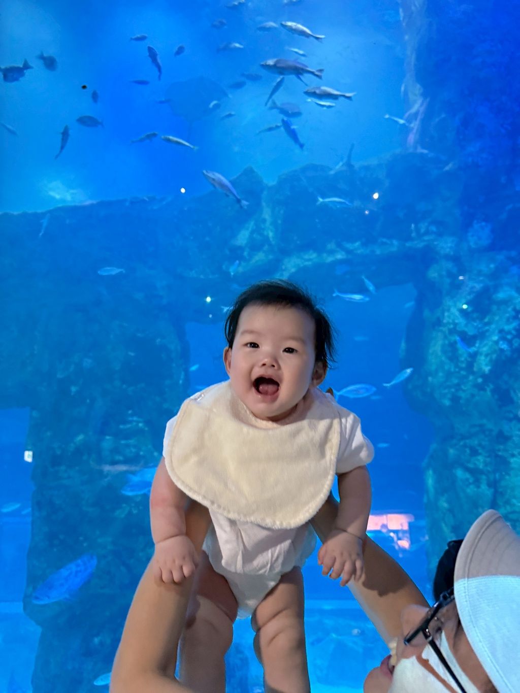 image_160E2571-F0F6-448E-984C-1EE3AFBDC6C5_1761913522