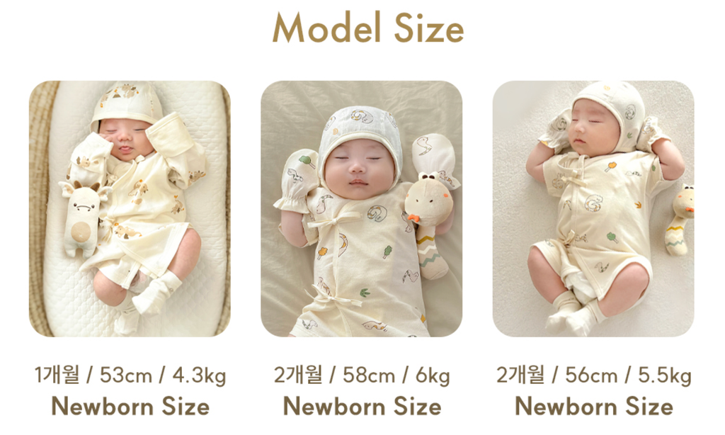 截圖 2025-12-07 下午1.42.26