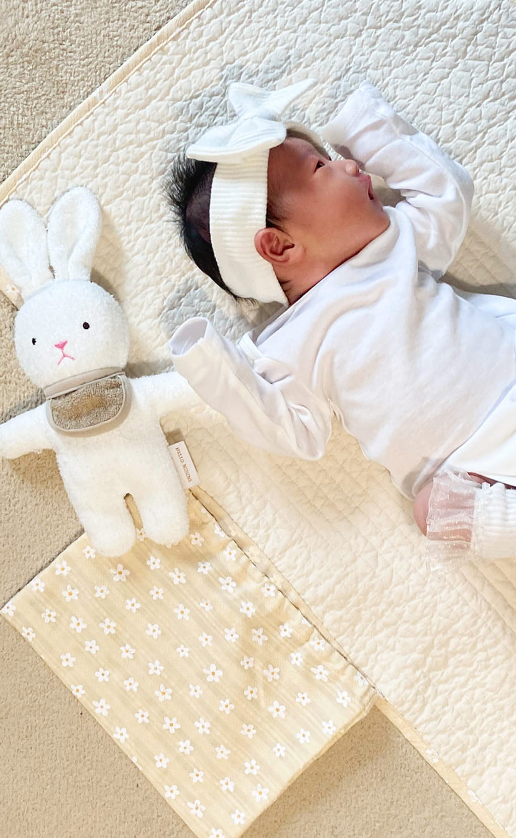 截圖 2025-12-09 上午3.05.47