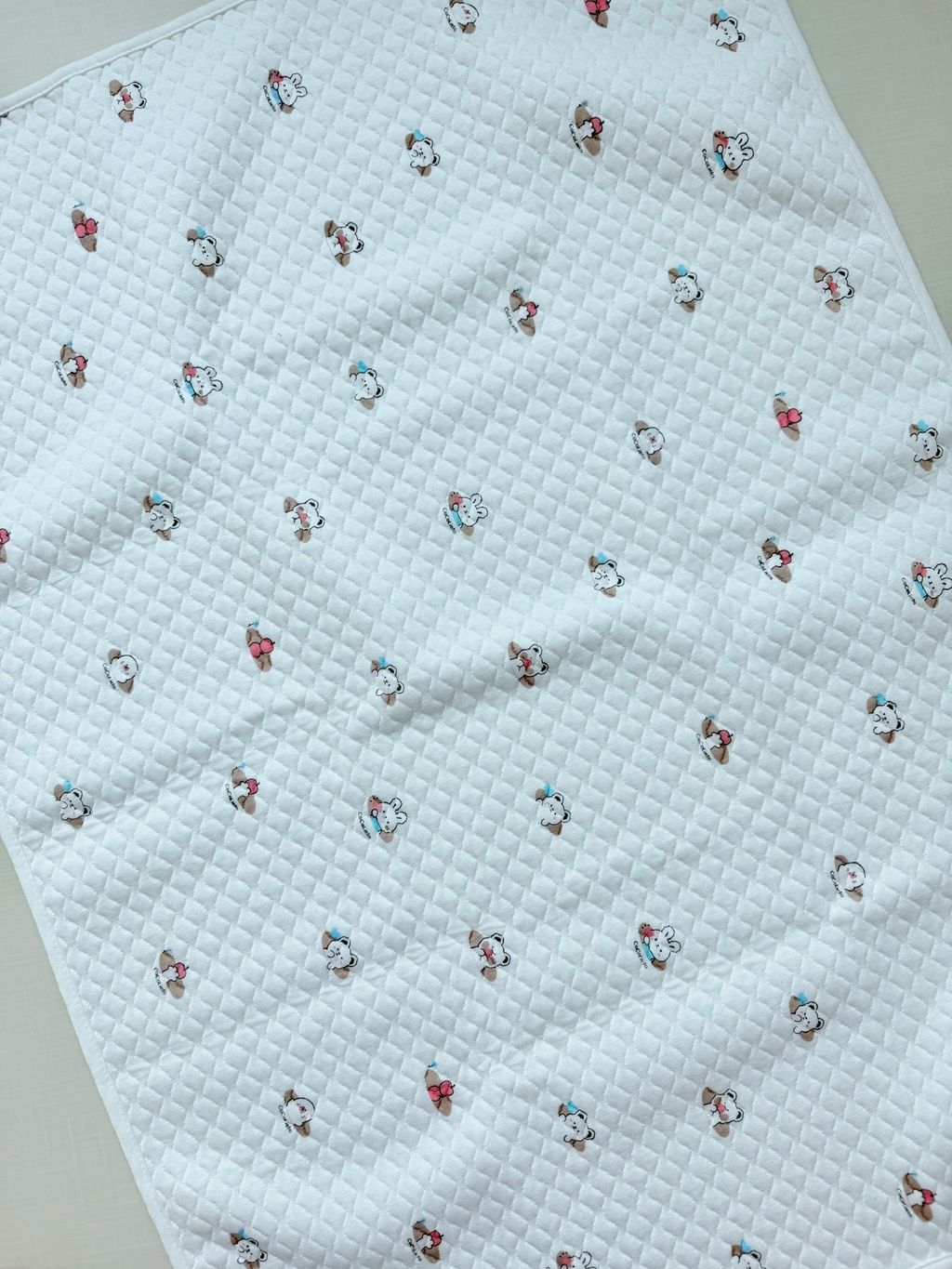 image_8B011105-35F8-4163-95FD-C79F71984BDD_1765695521