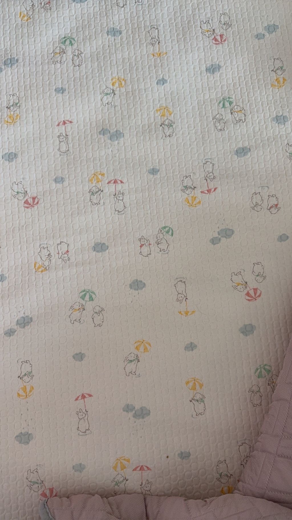 image_F9DCC553-E588-4E7C-B4AE-2DCADC6EC1E2_1765695521