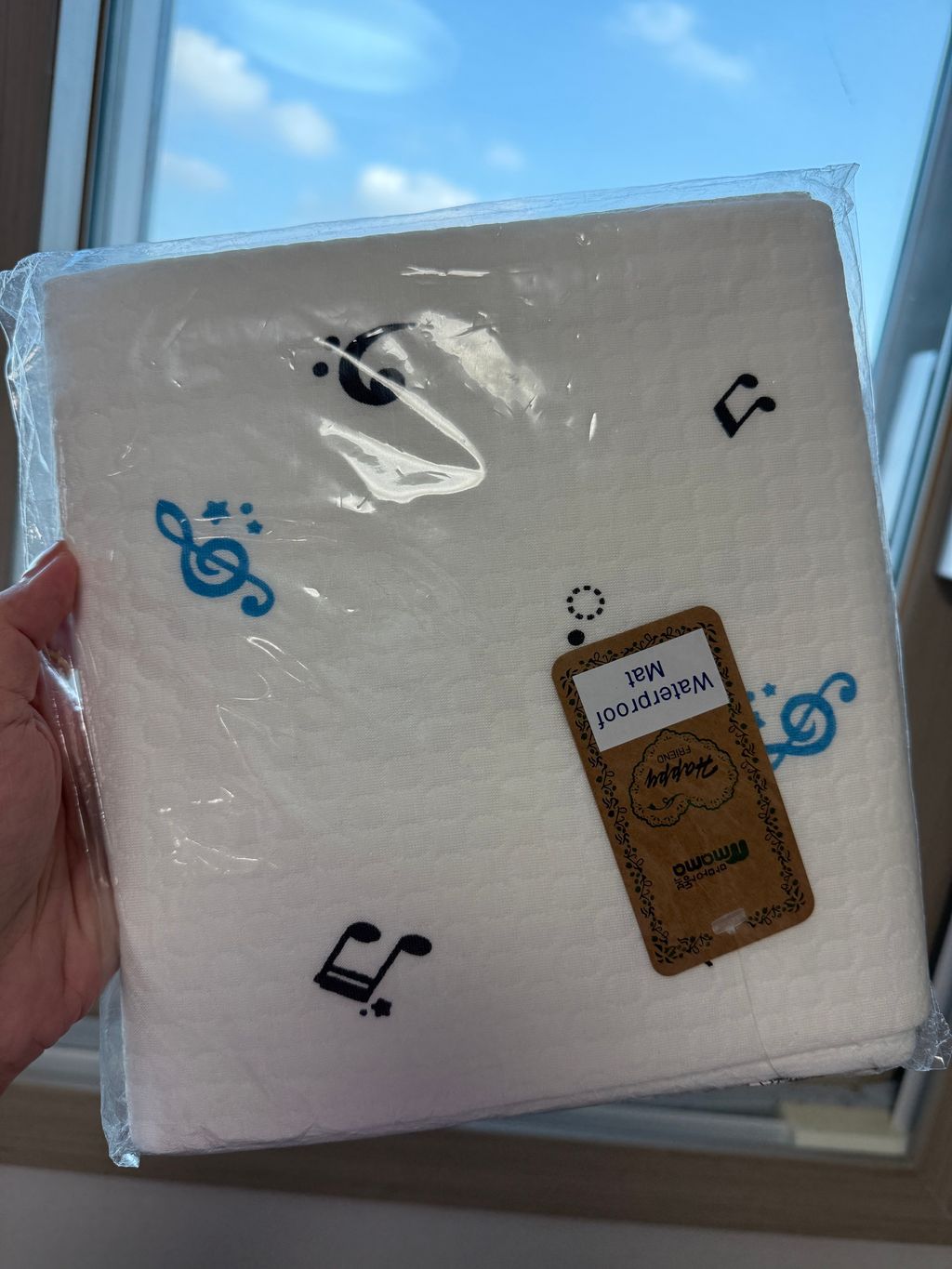 image_F11D2F4D-ADB8-4581-8AC2-F9838F949840_1765695732