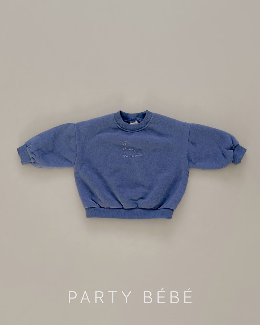 PARTYBEBE LOGO INSTA 31-60-24