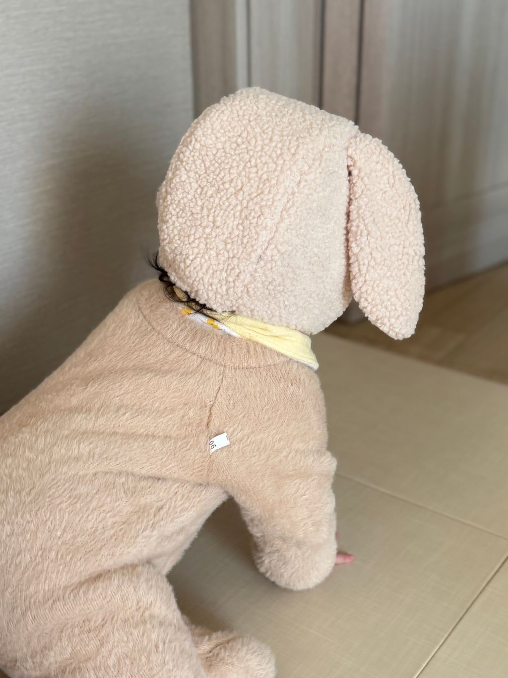 image_86C47EA1-C9C8-4085-91CD-A0F6DEF232C6_1766710713