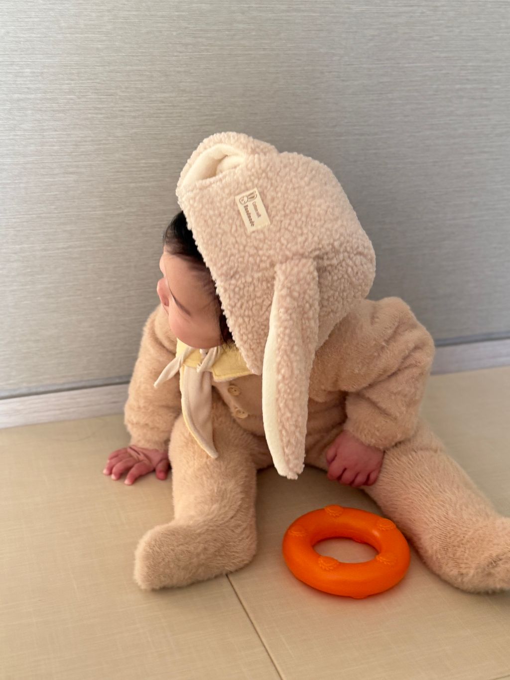 image_6B58113B-6392-441F-BFAB-0B0D8E378C9C_1766710713