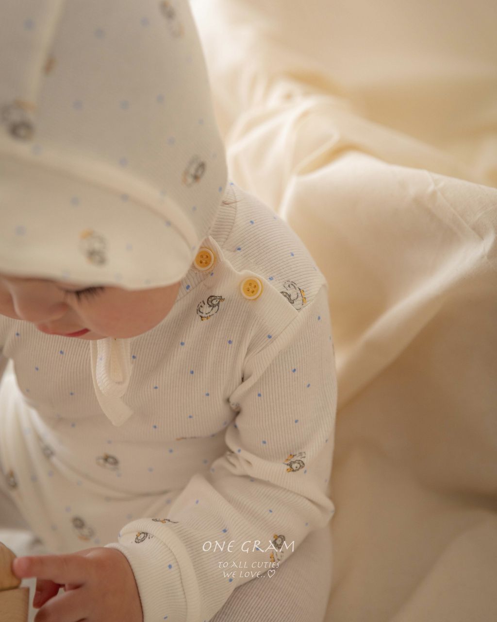 batch_ㅋㅌㅋ260212_1gram-228