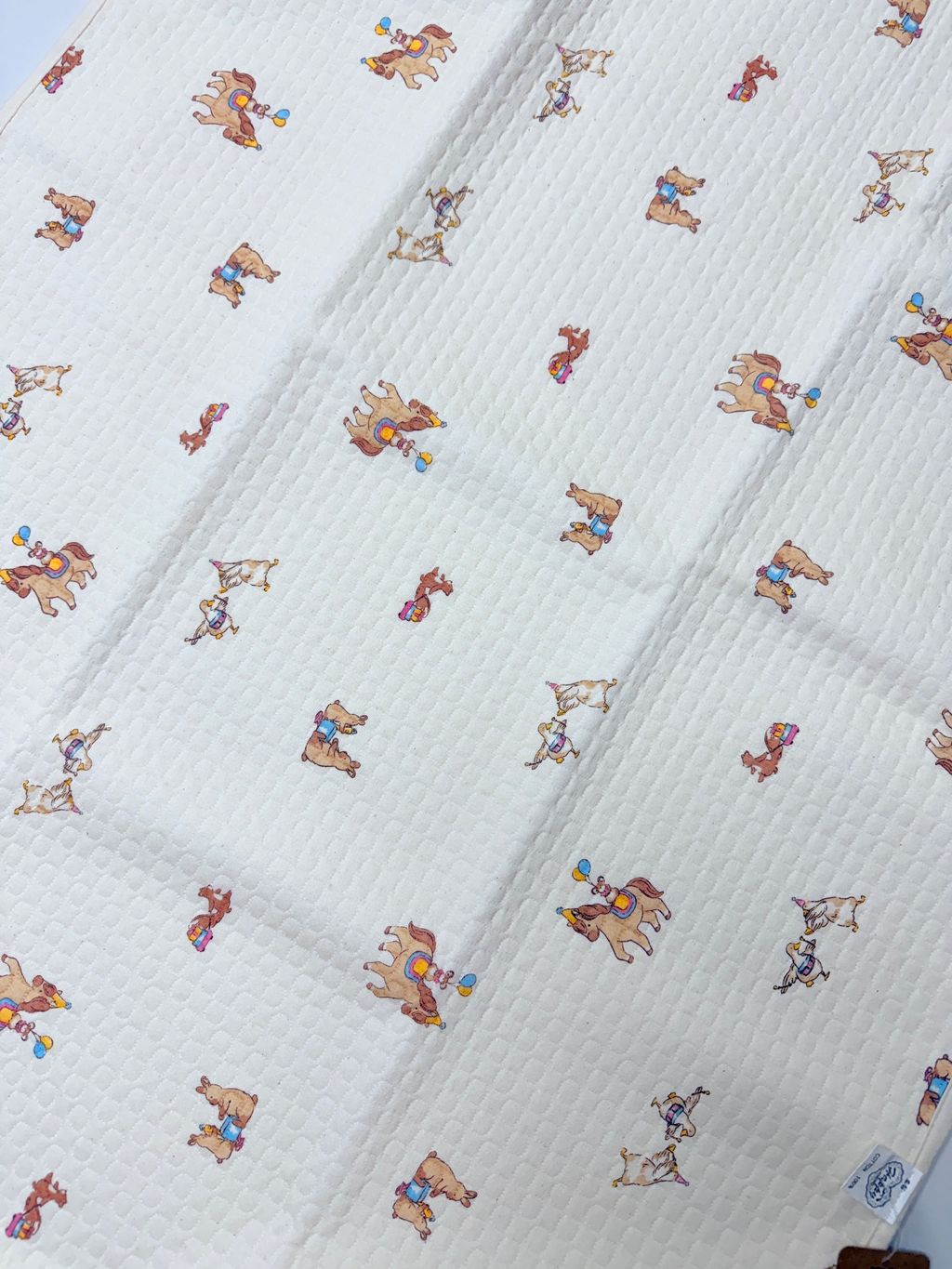 image_F5D6FAB8-E8F7-4E3C-A5DF-BD8253EB58B5_1772115461