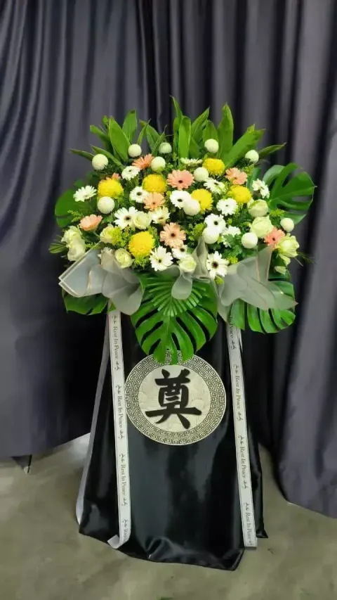 73003705