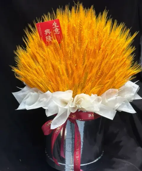 78076020