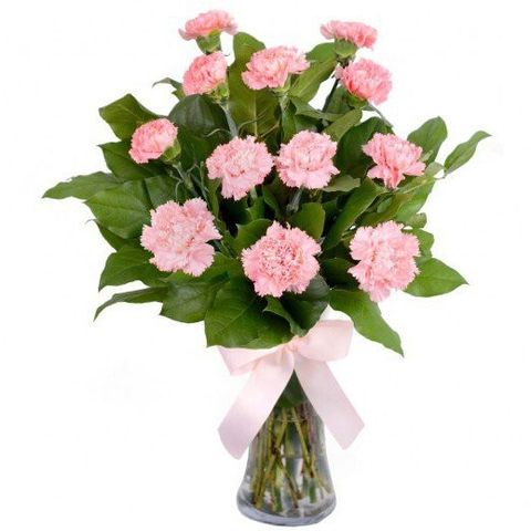 Pink-Carnations-with-Vase-C01