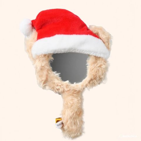 santa bear mirror 2